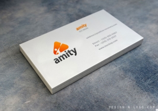 Amity Coaching logo design